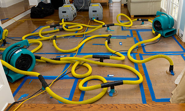 Professional Flood Damage Restoration technician working in Harrison, SD